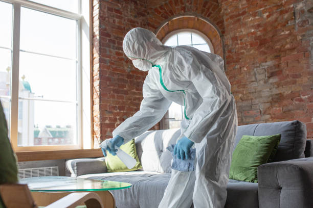 Professional Mold Removal & Remediation in College, AK